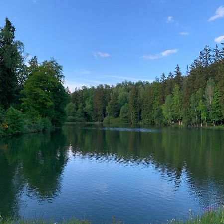 Hotel And Restaurant Bergschloesschen Zorge 外观 照片