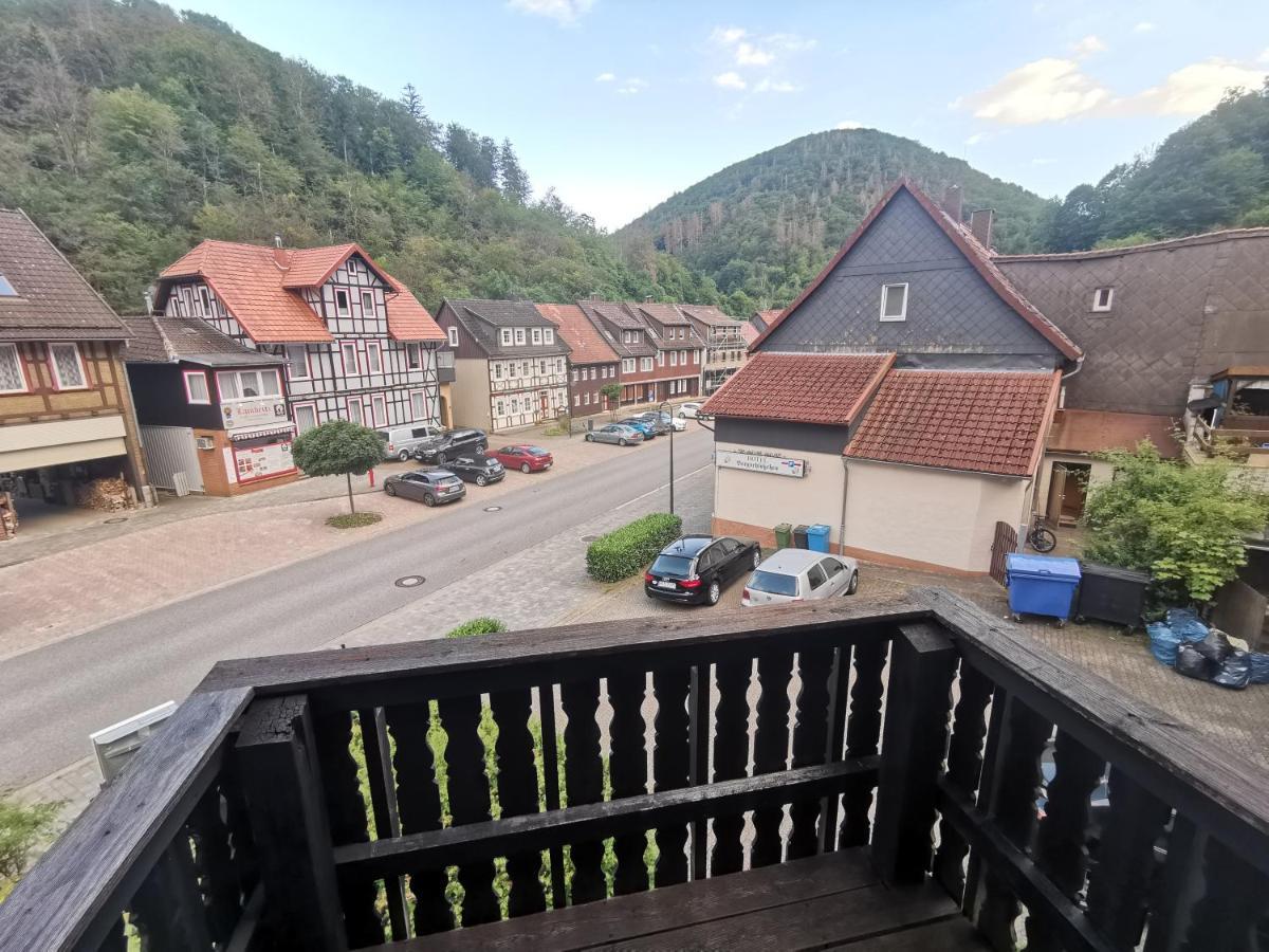 Hotel And Restaurant Bergschloesschen Zorge 外观 照片