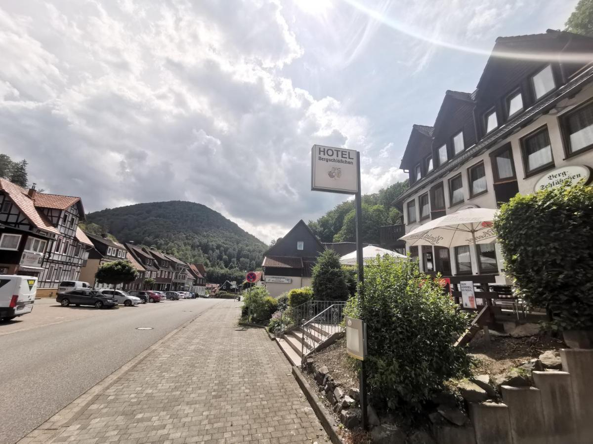 Hotel And Restaurant Bergschloesschen Zorge 外观 照片