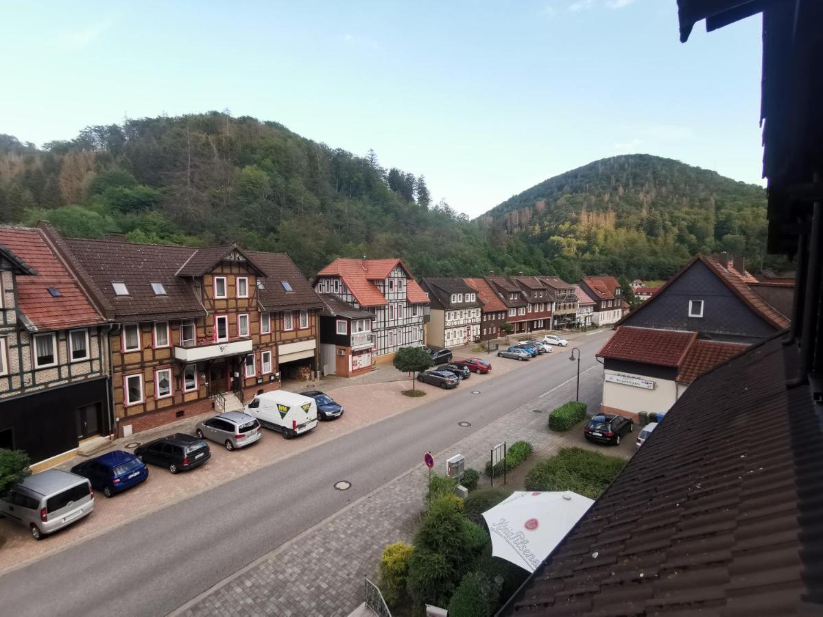 Hotel And Restaurant Bergschloesschen Zorge 外观 照片