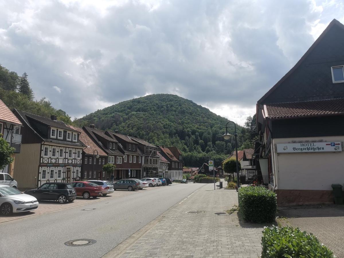 Hotel And Restaurant Bergschloesschen Zorge 外观 照片