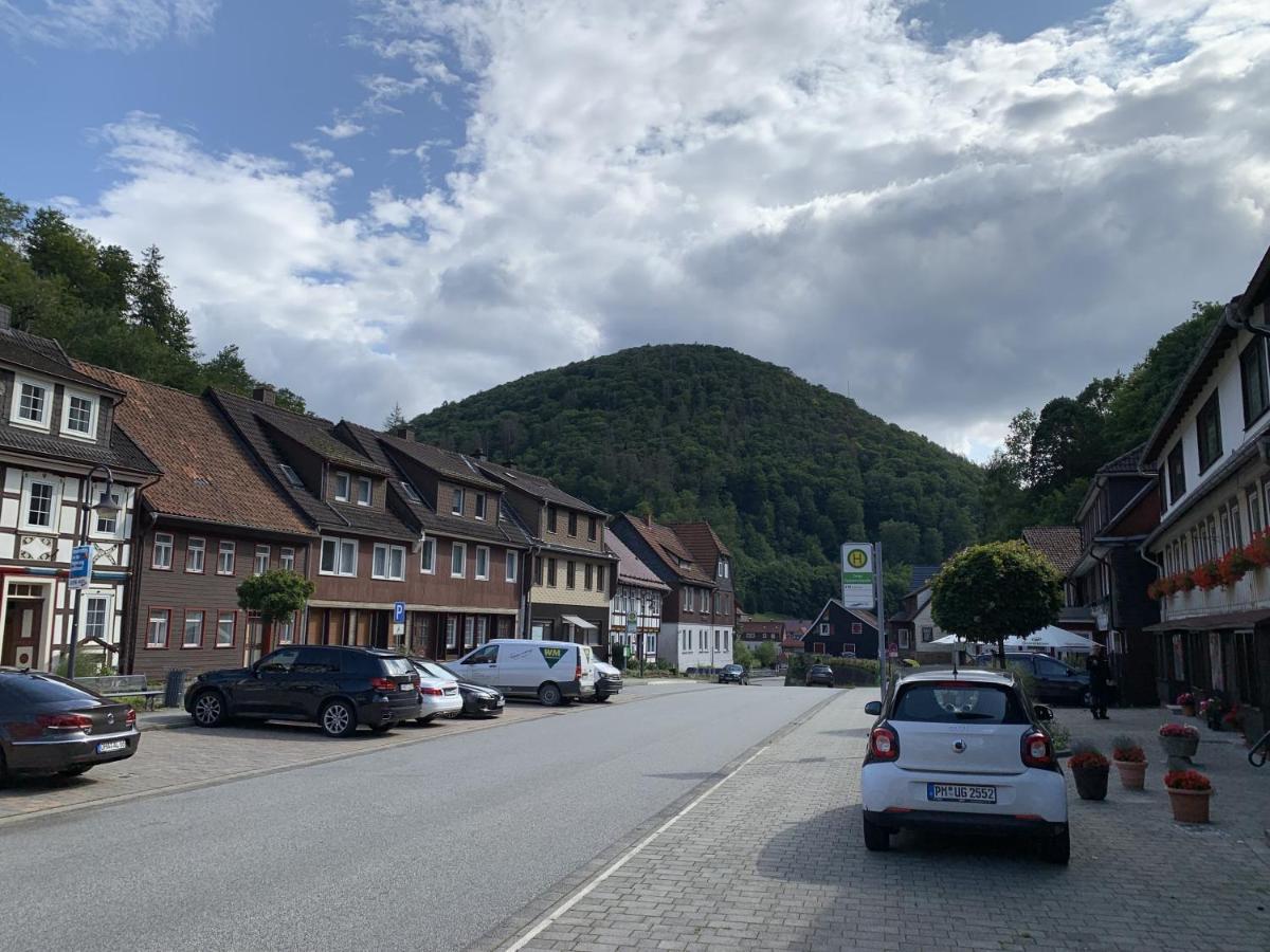 Hotel And Restaurant Bergschloesschen Zorge 外观 照片
