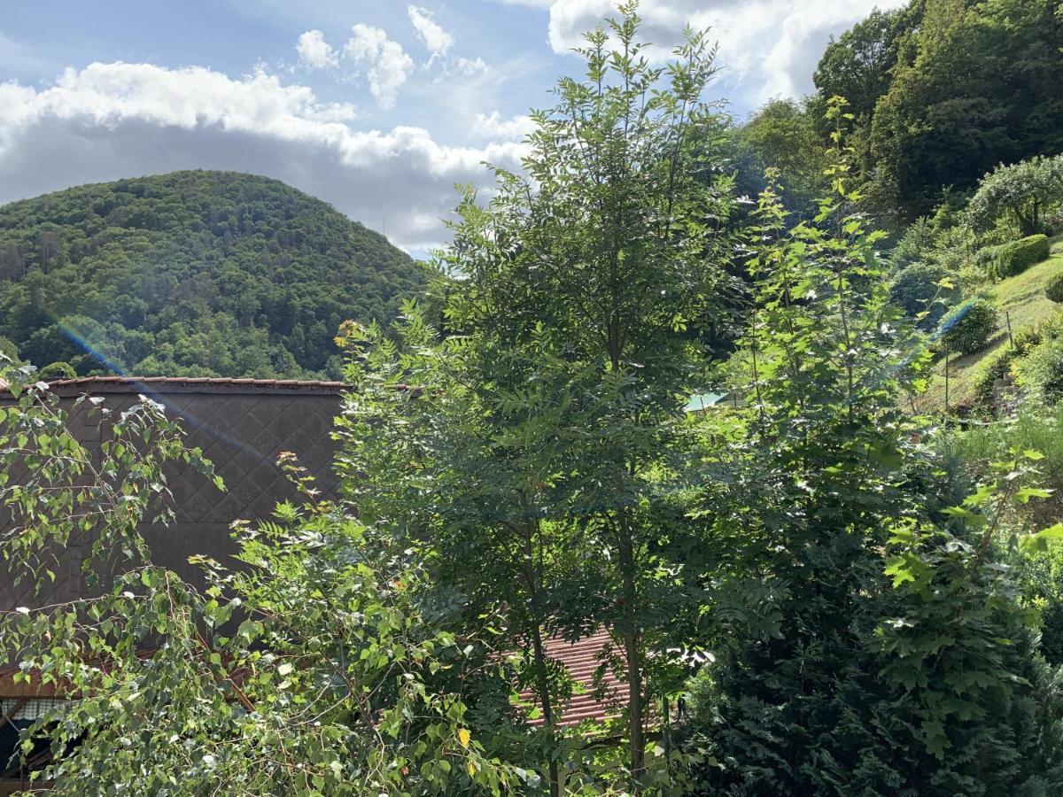 Hotel And Restaurant Bergschloesschen Zorge 外观 照片