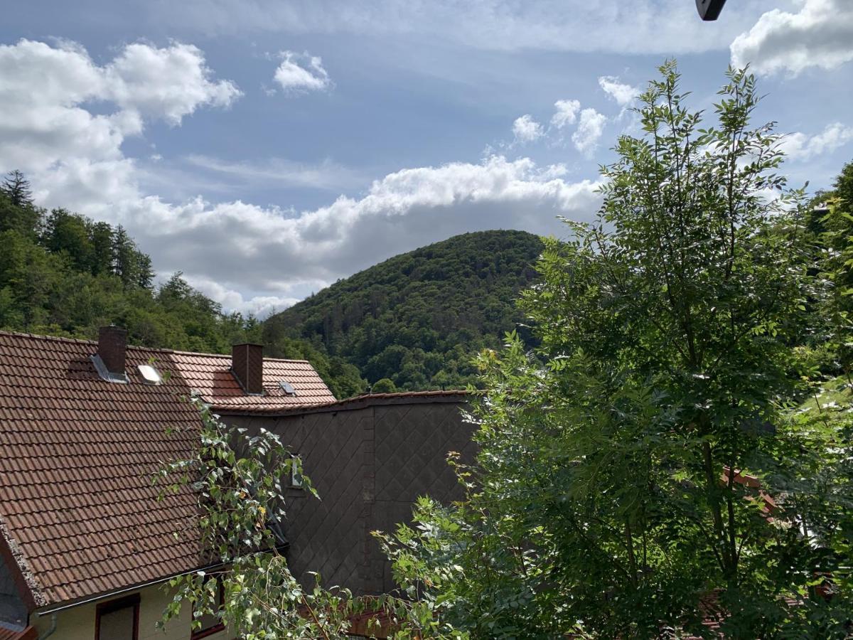 Hotel And Restaurant Bergschloesschen Zorge 外观 照片