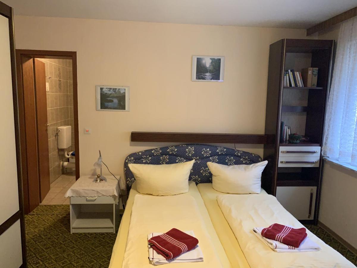Hotel And Restaurant Bergschloesschen Zorge 外观 照片